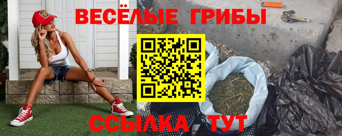 Михайловск  магазин    Вход с VPN  Галлюциногенные грибы GOLDEN TEACHER  Псилоцибиновые грибы MAGIC MUSHROOMS 